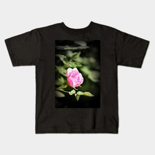 Old fashioned pink rose, near Trojan pond, Oregon 2 Kids T-Shirt